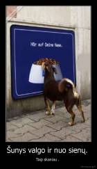 Šunys valgo ir nuo sienų.  - Taip skaniau . 