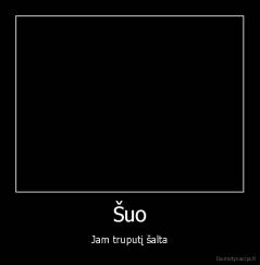 Šuo - Jam truputį šalta
