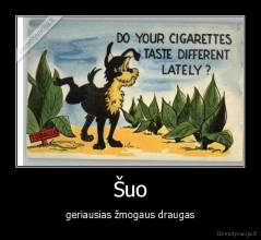 Šuo - geriausias žmogaus draugas