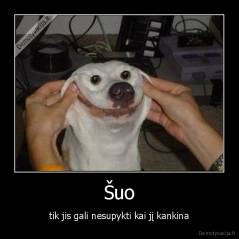 Šuo - tik jis gali nesupykti kai jį kankina