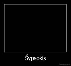 Šypsokis - 