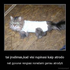 tai įrodimas,kad visi rupinasi kaip atrodo - net gyvunai rengiasi noredami geriau atrodyti