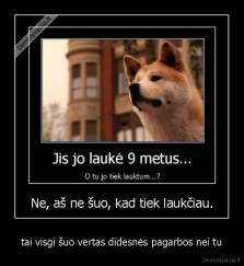 tai visgi šuo vertas didesnės pagarbos nei tu - 