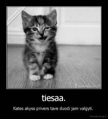 tiesaa. - Kates akyss privers tave duodi jam valgyti. 
