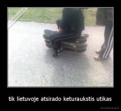 tik lietuvoje atsirado keturaukstis utikas - 