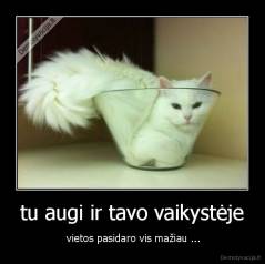 tu augi ir tavo vaikystėje -  vietos pasidaro vis mažiau ...