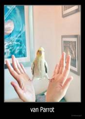van Parrot - 