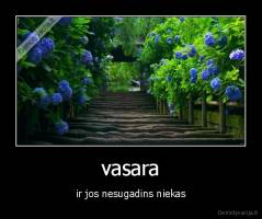 vasara - ir jos nesugadins niekas