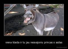 viena klaida ir tu jau nesvajoniu princas o asilas - 