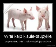 vyrai kaip kiaule-taupykle - taupo moteru viltis ir veliau vistiek jas sudauzo