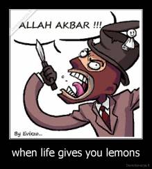 when life gives you lemons - 