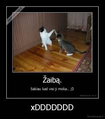 xDDDDDDD - 