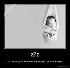 zZz - Don't let life get in the way of your dreams... go back to sleep! 
