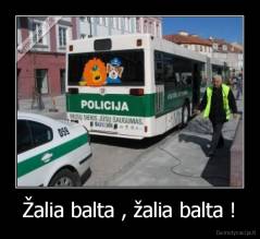 Žalia balta , žalia balta ! - 