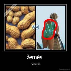 žemės  - riešutas