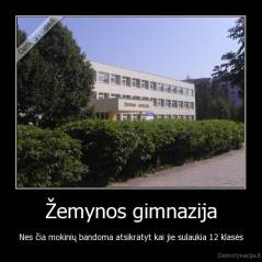 Žemynos gimnazija - Nes čia mokinių bandoma atsikratyt kai jie sulaukia 12 klasės