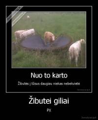 Žibutei giliai - PX