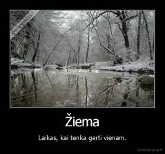 Žiema - Laikas, kai tenka gerti vienam.