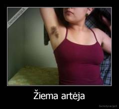 Žiema artėja - 