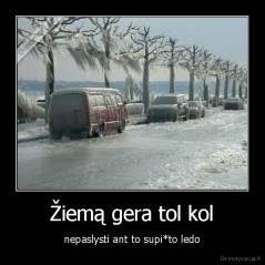 Žiemą gera tol kol - nepaslysti ant to supi*to ledo