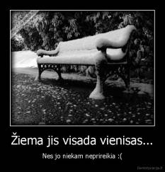 Žiema jis visada vienisas... - Nes jo niekam neprireikia :(