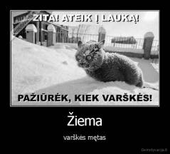 Žiema - varškės mętas