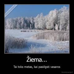 Žiema... - Tai toks metas, kai pasiilgsti vasaros