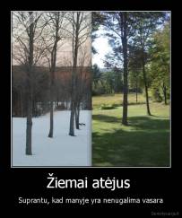 Žiemai atėjus  - Suprantu, kad manyje yra nenugalima vasara