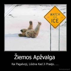 Žiemos Apžvalga  - Kai Pagalvoji, Liūdna Kad Ji Praėjo. . . 