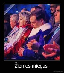 Žiemos miegas. - 