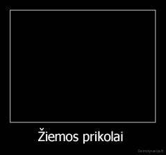 Žiemos prikolai  - 
