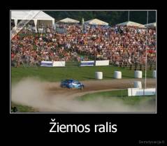 Žiemos ralis - 