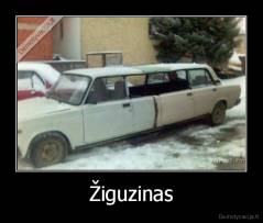 Žiguzinas - 