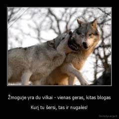 Žmoguje yra du vilkai - vienas geras, kitas blogas - Kurį tu šersi, tas ir nugalės!