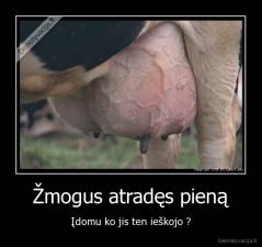 Žmogus atradęs pieną - Įdomu ko jis ten ieškojo ?
