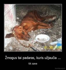 Žmogus tai padaras, kuris užjaučia ... - tik save