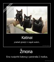 Žmona  - Eina nusipirkti batoną o parsineša 2 maišus.