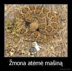 Žmona atėmė mašiną - 