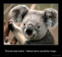 Žmonės kaip koalos - Niekad jiems neuztenka miego. - 