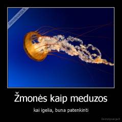 Žmonės kaip meduzos - kai igelia, buna patenkinti