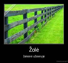 Žolė - žalesnė užsienyje