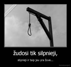 žudosi tik silpnieji, - stiprieji ir taip jau yra žuve...