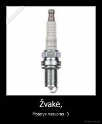 Žvakė, - Moterys nesupras :D