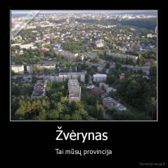 Žvėrynas  - Tai mūsų provincija